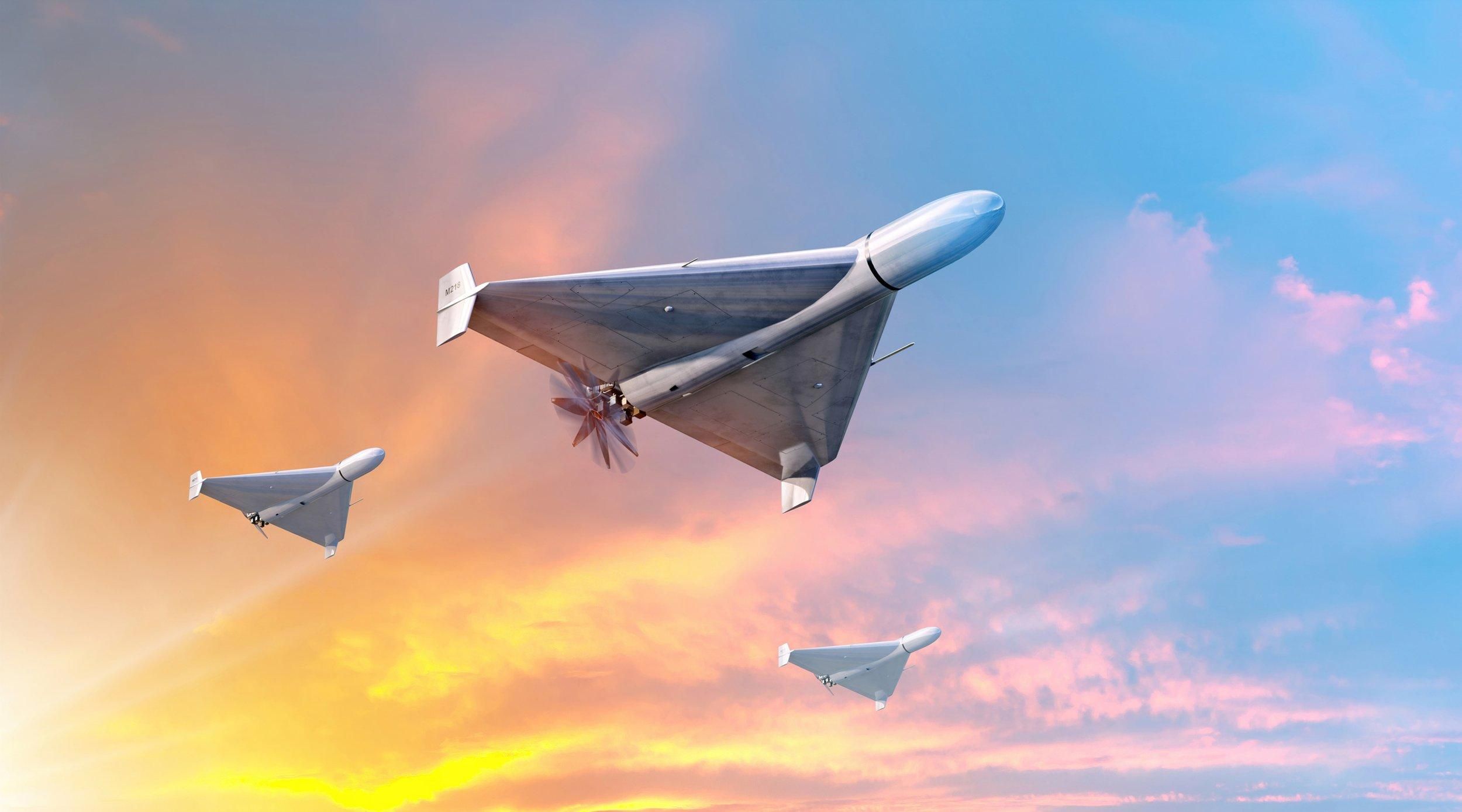 Литва тестирует украинскую систему SkyFortress для охоты на дроны